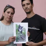 Ágata, la gatita que sigue perdida tras la histórica inundación en Bahía Blanca: “Es mi nena”