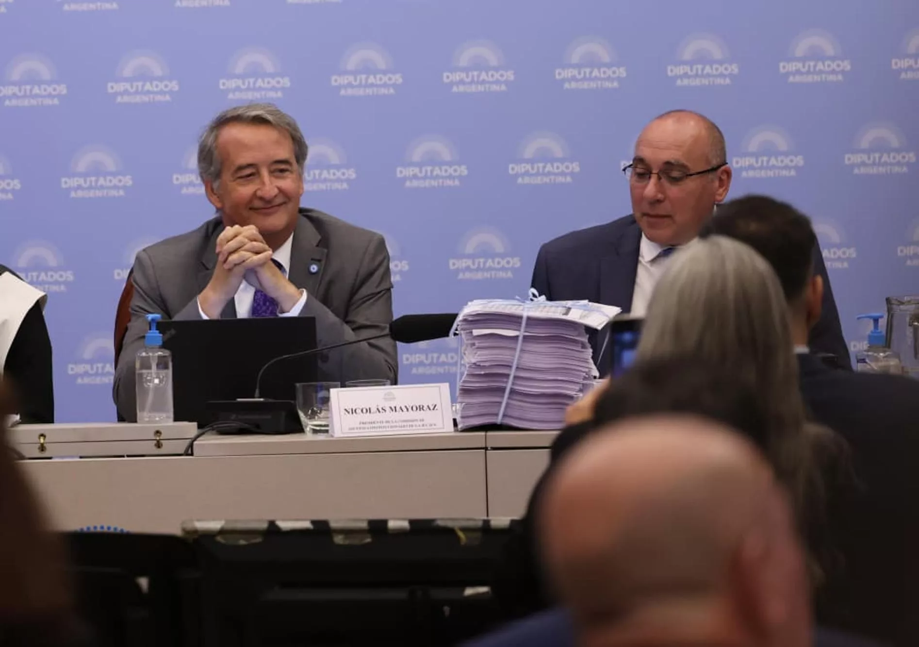 Los libertarios Nicolás Mayoraz y José Peluc conducieron las audiencias públicas como presidentes de las comisiones de Asuntos Constitucionales y Recursos Naturales, respectivamente