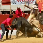 El toro Langosto y el picador Puchano, un emocionantísimo combate