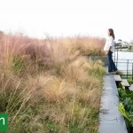 Desniveles a favor: Cómo convertir un terreno desparejo en una oportunidad de diseño