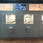 Halladas las tumbas de dos mujeres enterradas con sus armas en un poblado íbero de Córdoba