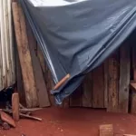 Conmoción en Misiones por una nena de 12 años que está embarazada y no quiere interrumpirlo: investigan el abuso