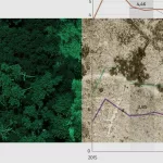 La destrucción de selva virgen en el mundo casi se dobla en un año