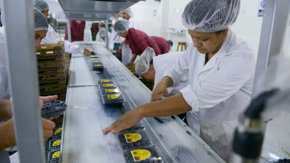 Producción de alimentos.