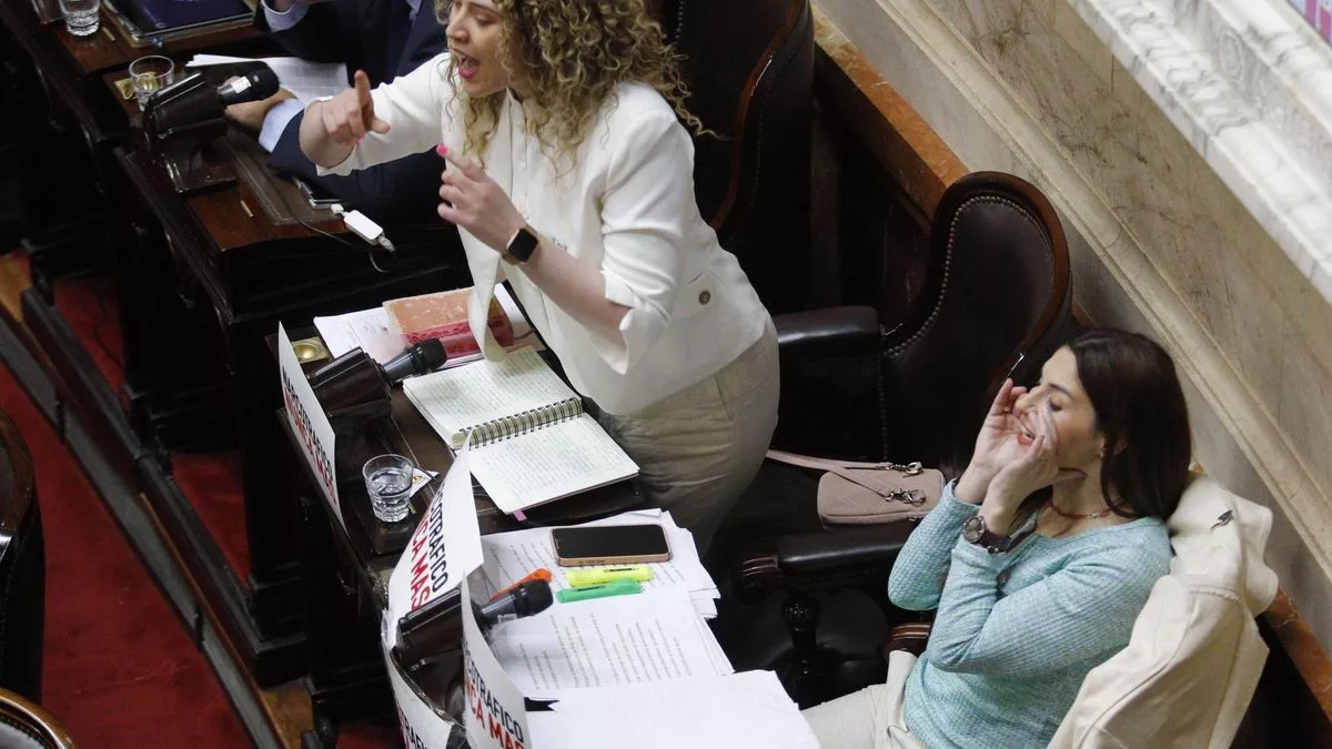 Lourdes Arrieta y Marcela Pagano, opositoras duras