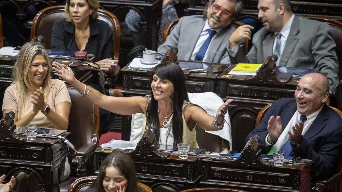 La senadora electa Lorena Villaverde podría tener que renunciar a su banca y volver a Diputados