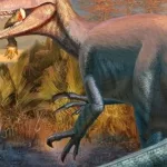 Descubrieron en Chubut los fósiles de un dinosaurio carnívoro que habría sido de los últimos en extinguirse