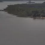 Encontraron muerta a la gendarme que había desaparecido en el río Paraná