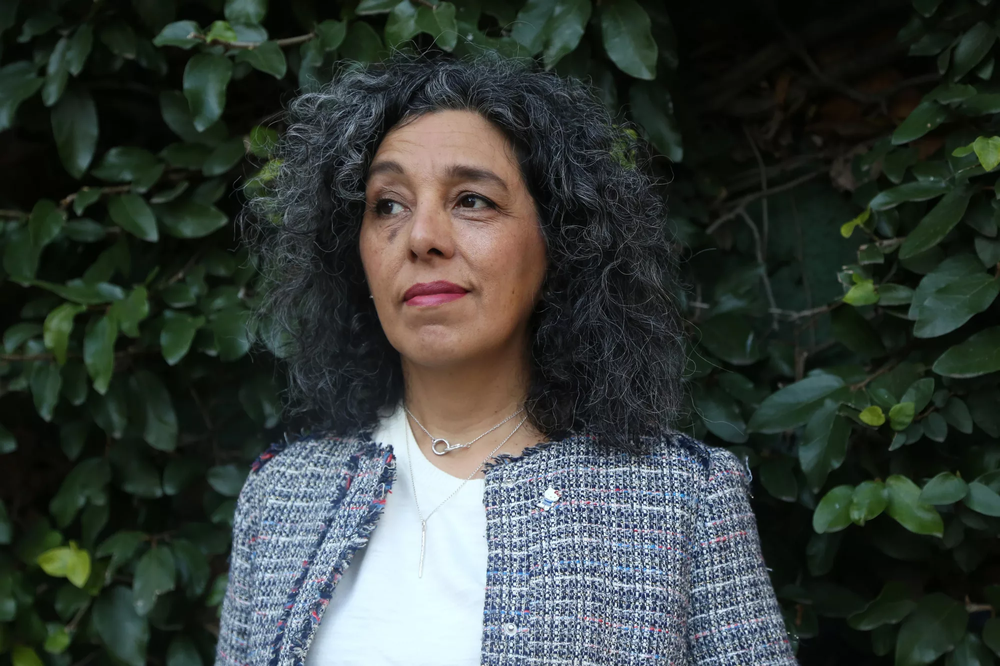 Vallejos llevó adelante una exhaustiva investigación alrededor de fundaciones, think tanks y publicaciones libertarias de los últimos 70 años.