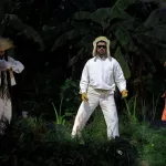 Bad Bunny vuelve a hacer historia en las nominaciones de unos Grammy con Lady Gaga y Sabrina Carpenter como favoritas