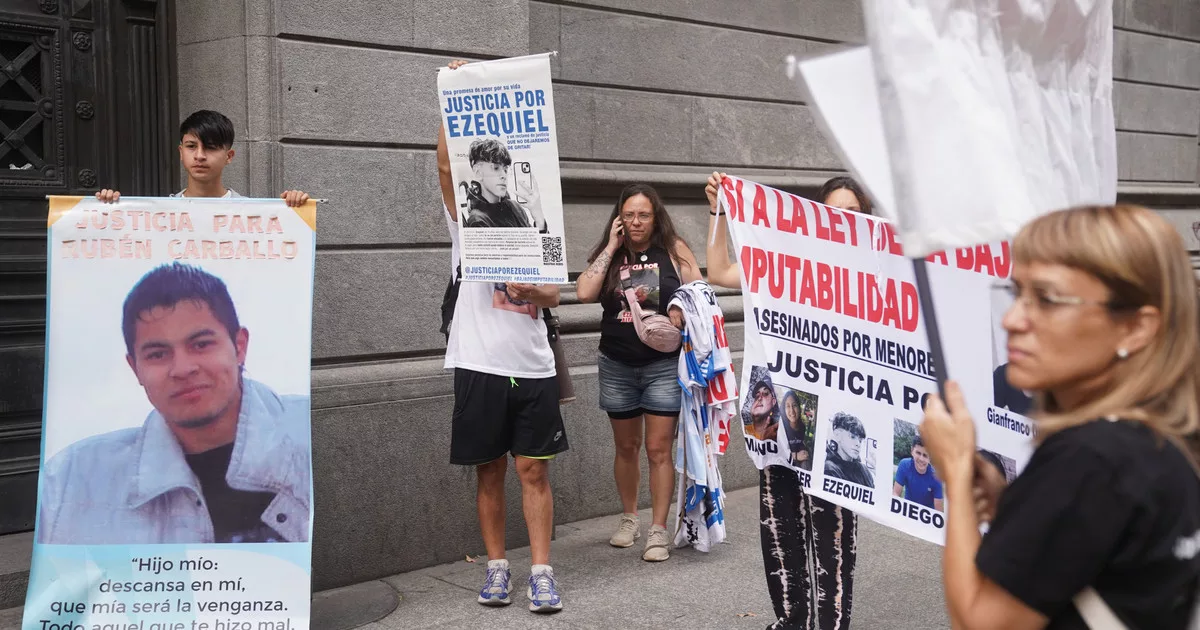 Reforma penal juvenil en el Senado, EN VIVO: a qué hora es la sesión, principales puntos y todo sobre el debate en el Congreso este 27 de febrero