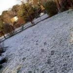 Ola polar: el frío extremo trajo nieve en la Costa y tiñó de blanco varias zonas del país