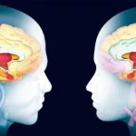 Las chicas no rechazan a VOX, solo se acercan a un ritmo más pausado que los hombres