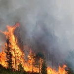 Cómo el cambio climático amenaza a la economía y a la seguridad alimentaria