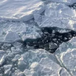 El frenazo del deshielo en el Ártico era un espejismo: este invierno se derritió como nunca desde que hay registros