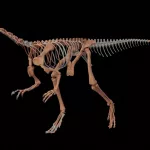 Encontraron en La Rioja una nueva especie de dinosaurio y es uno de los más antiguos del mundo