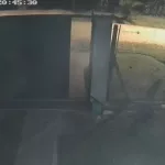 La emboscó en la calle y la apuñaló hasta matarla: una cámara registró los desgarradores gritos de la víctima en Ezeiza