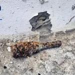 Desactivan una granada de mortero en el campus de la Universidad de Huelva