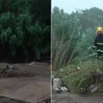 Temporal en Paraná: desesperada búsqueda de una madre y su hija arrastradas por un arroyo