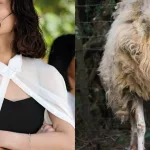 No somos tan distintos: las sorprendentes duplas visuales de Avistaje, de Clara de Estrada