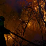 Patagonia en llamas: una tragedia ambiental que se puede volver a repetir pronto