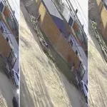 Brutal asesinato en La Matanza: una adolescente caminaba con su abuela, quedó en medio de un tiroteo y la balearon en la cabeza