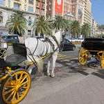 Málaga prohíbe los coches de caballos por motivos de bienestar animal