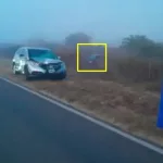 Se despistó en la ruta por la niebla, intentó pedir ayuda y murió atropellado por una camioneta