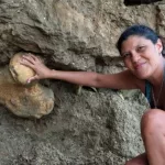 Sorpresa en Santa Clara del Mar: dos turistas que caminaban por la playa encontraron los restos de un gigante prehistórico
