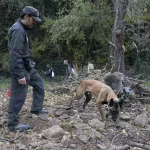 Once días después del estallido del brote de peste porcina, la Generalidad anuncia un comité de expertos