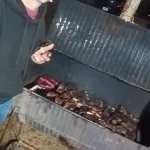 El detenido por el macabro crimen del jubilado en Río Gallegos: apuestas, una indemnización millonaria y un cuerpo desmembrado