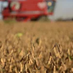 Subió la presión impositiva al campo y el Estado se queda con casi dos tercios de la renta del productor