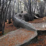 El arte piensa otras formas de habitar el planeta en tiempos de fracking y cambio climático