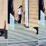 Tras el caso de la alumna que llevó un arma, quieren multar a los padres de los chicos que hacen bullying