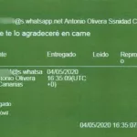 Koldo ofrecía "carreteras" del Gobierno y pagos "en carne" como incentivos para que Canarias les pagara mascarillas