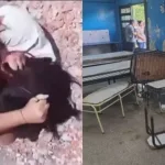 “Eso te pasa por meterte con un macho ajeno”: la brutal pelea entre dos chicas antes del ataque a una escuela