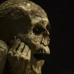 París exhibe nueve momias y reabre la discusión ética sobre mostrar restos humanos en museos