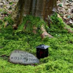 Esparcir las cenizas de un difunto en el bosque o en el mar: cómo evitar multas de 60.000 euros