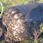 Misterio en Chaco: hallaron un gran objeto metálico en un campo y los vecinos aseguran que cayó del cielo