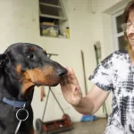 Cannabis medicinal para mascotas: cuál es la primera provincia que lo autorizó
