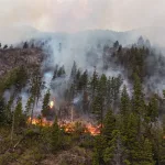 Con un festival literario a beneficio de la Patagonia, una veintena de escritores se unen para ayudar