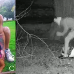 Se mostraba como un influencer amigo de los animales y fue grabado golpeando salvajemente a sus perros
