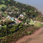 Cómo ingresó el “picudo rojo” a la Isla Martín García y las medidas para evitar que afecte las palmeras de toda la región